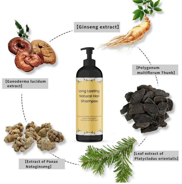 Japanese Long-Lasting Hair Dye Shampoo – Plant Extract Formula (Buy 1 Get 1 FREE)