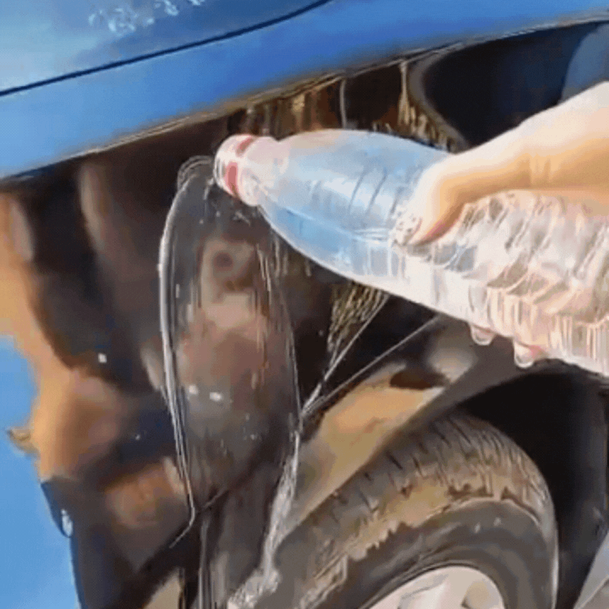 3 in 1 High Protection Coating Spray (Pack of 2)